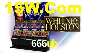 Premium Interface 666ub