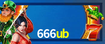 666ub App Interface