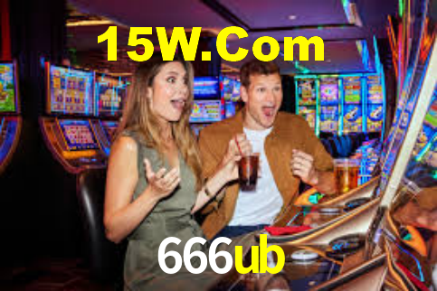 666ub App Interface